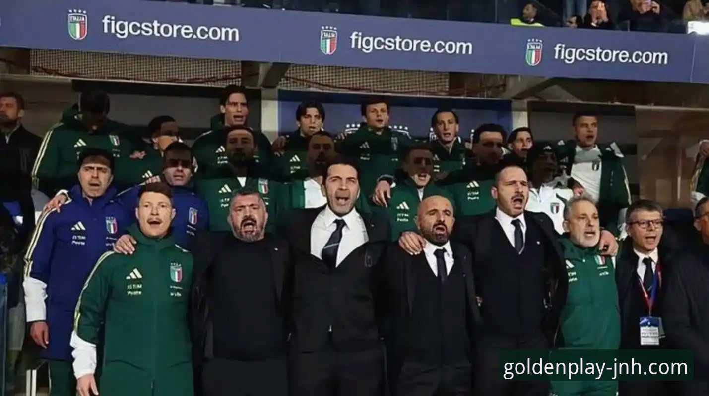 意大利足球的迷失，金年会体育用户该如何看待连续三届无缘世界杯的困境？